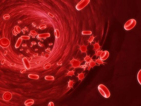 Hội chứng thực bào máu (HLH) nguy hiểm như thế nào? 1